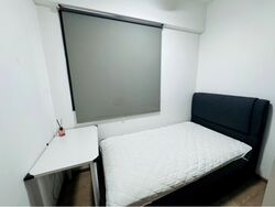 The Visionaire (D27), Condominium #619533961